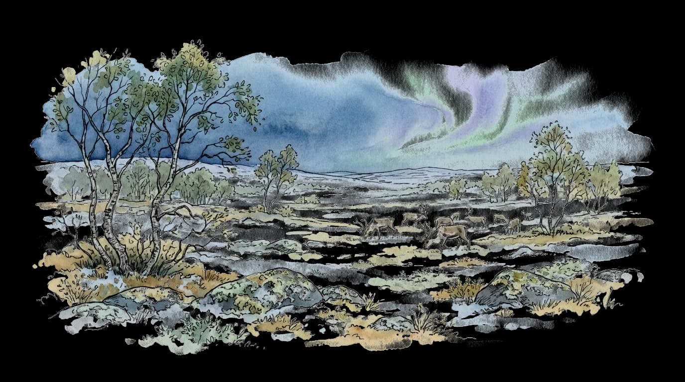 Landskapsillustrasjon for Troms og Finnmark