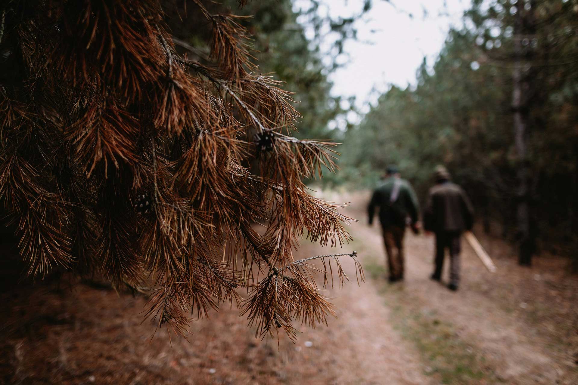 Hunting experience