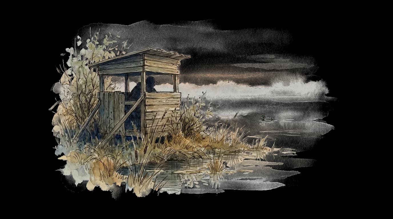 Illustration of Hide hunting