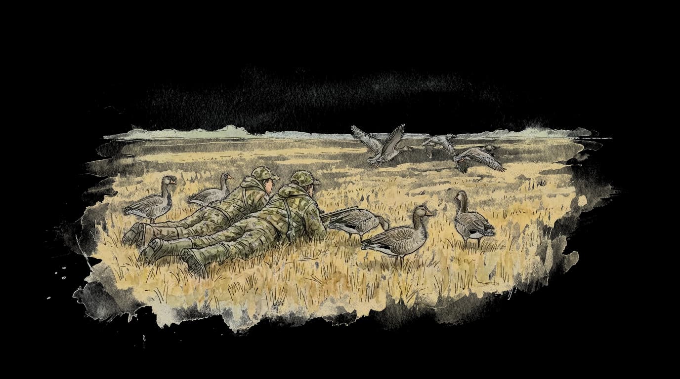 Illustration of Goose hunting