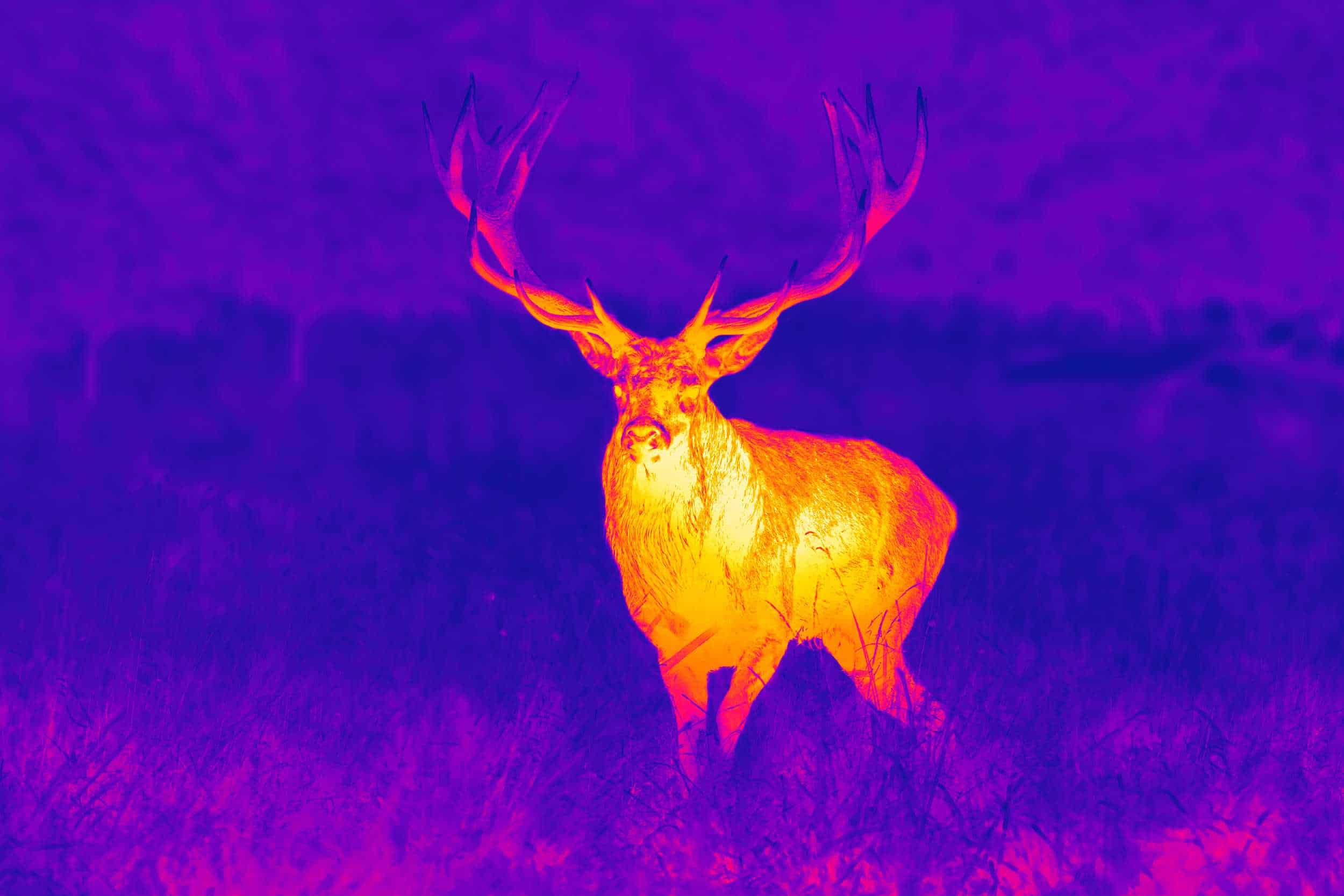 Hunting Technology: Thermal Optics, Drones, and What Comes Next