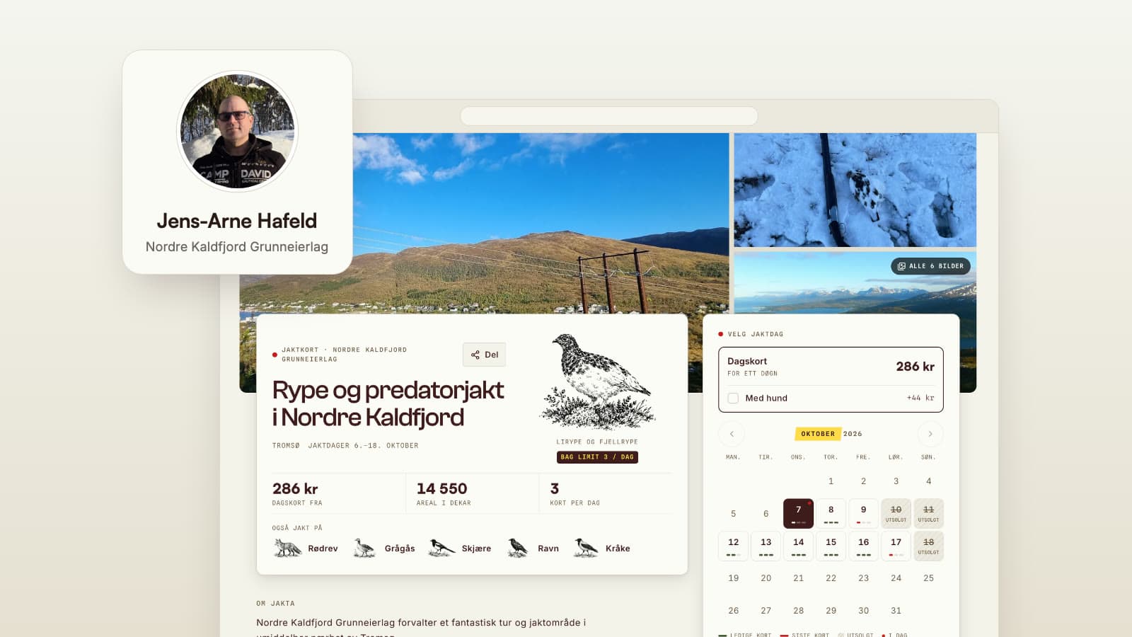 Hunting cards online in a single day