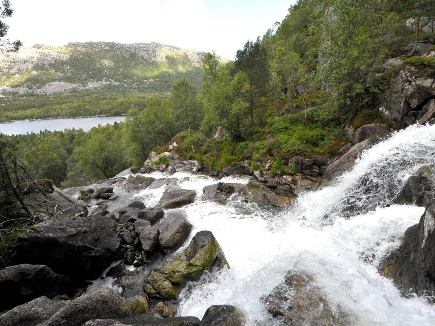 Bukkejakt i Ryfylke (Strand og Hjelmeland JFF)