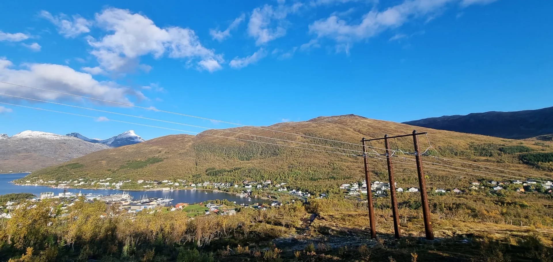 Rype og predatorjakt i Nordre Kaldfjord